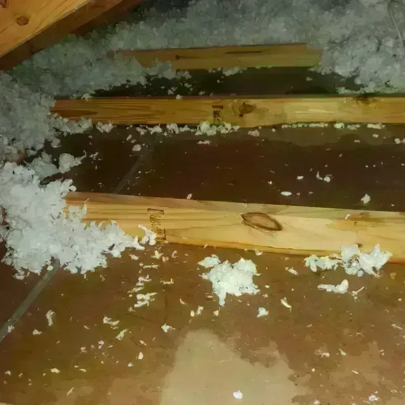 Attic Water Damage in Greenwood, LA