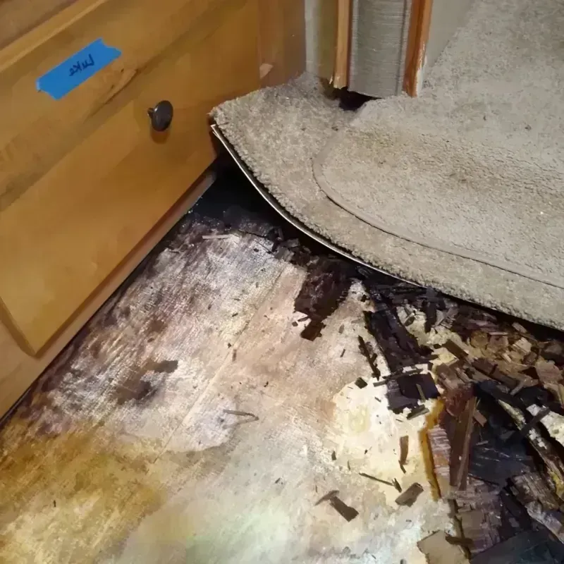 Wood Floor Water Damage in Greenwood, LA